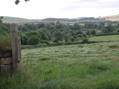 rural view