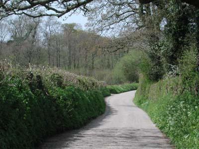 Lane near Luscott barton