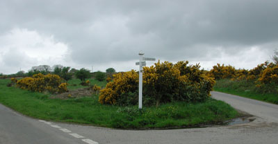 Liddaton Cross