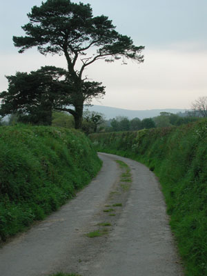 Lane near Beech farm