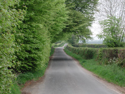 the road towards Beech Farm