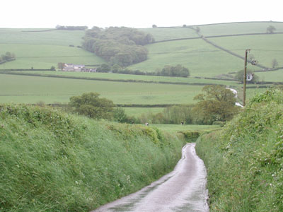 road to Quince Hill