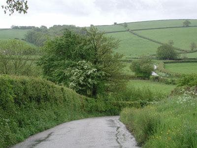 Towards Quince Hill